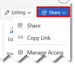 Word Online Collaboration