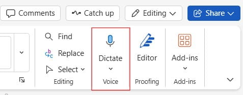 Word Online Dictation